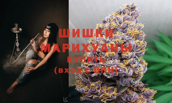 мдпв Новозыбков