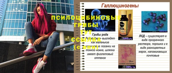 мдпв Новозыбков