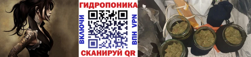 Конопля AK-47  наркотики  Приморско-Ахтарск 